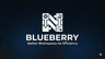 Profile picture of BlueBerry
